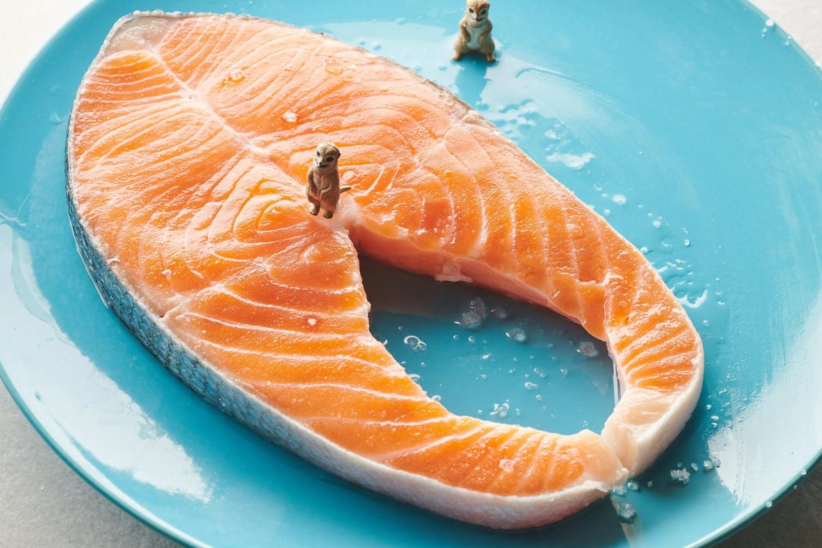 %e6%b4%8b%e8%94%a5%e8%92%b8%e9%ae%ad%e9%ad%9a%e9%a3%9f%e8%ad%9c